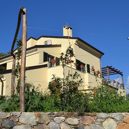 奇伊德住宿加早餐旅馆 Calice Ligure 外观 照片