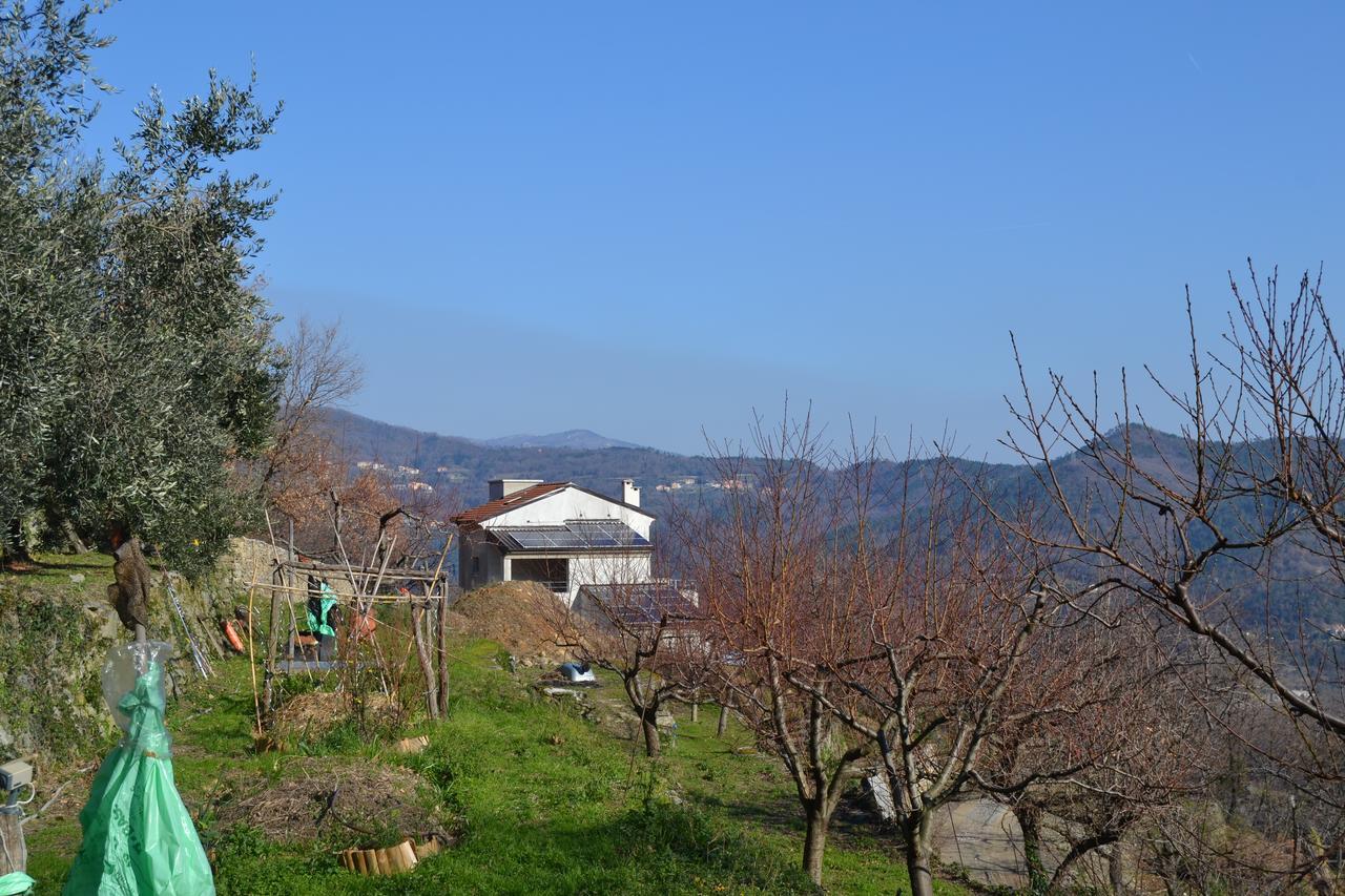 奇伊德住宿加早餐旅馆 Calice Ligure 外观 照片
